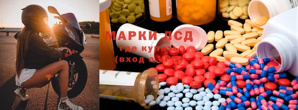прущие грибы Бронницы