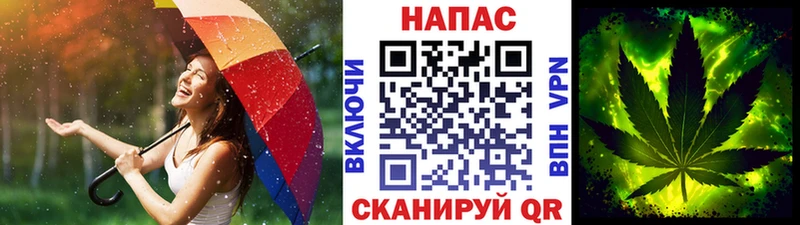 Конопля план  цена   Ковдор 